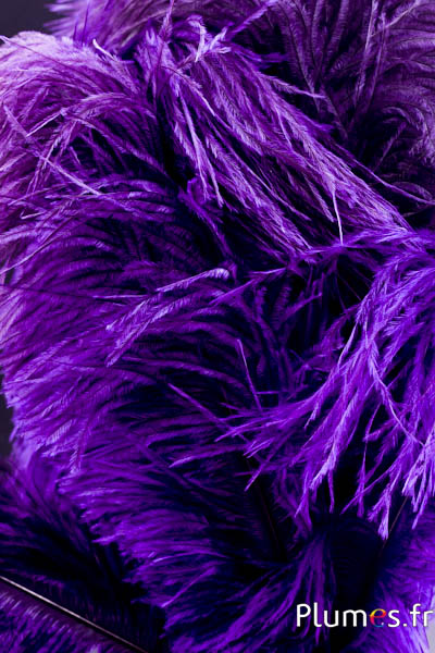 Autruche - 32-42 cm - gris clair-aubergine